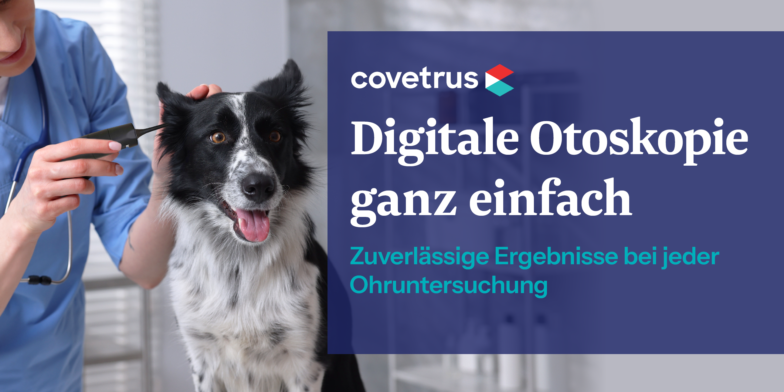Banner for Digital Otoscope